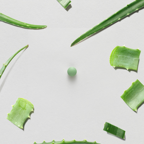 Aloe Vera